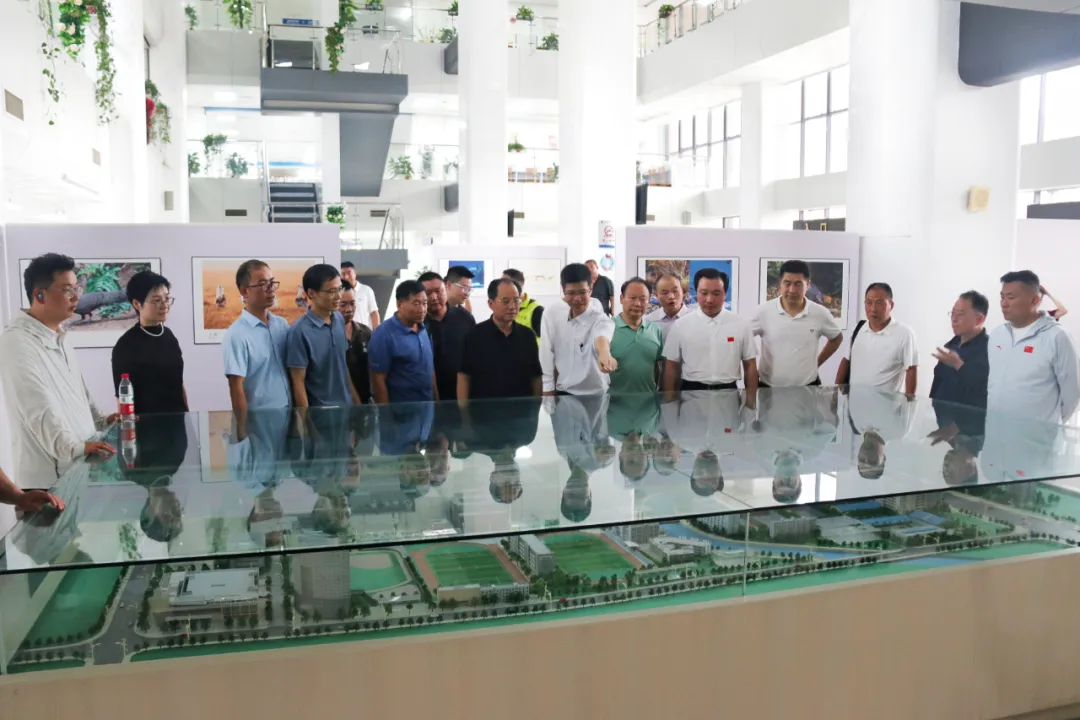 图片 4.png 图片 4.png