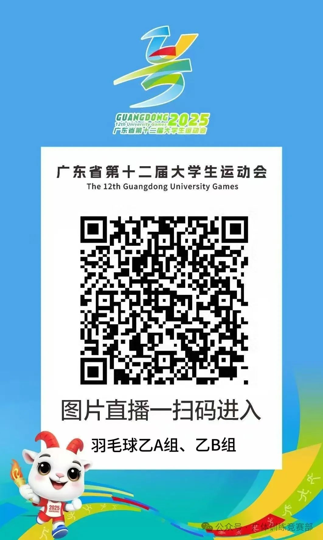 图片9.jpg 图片9.jpg