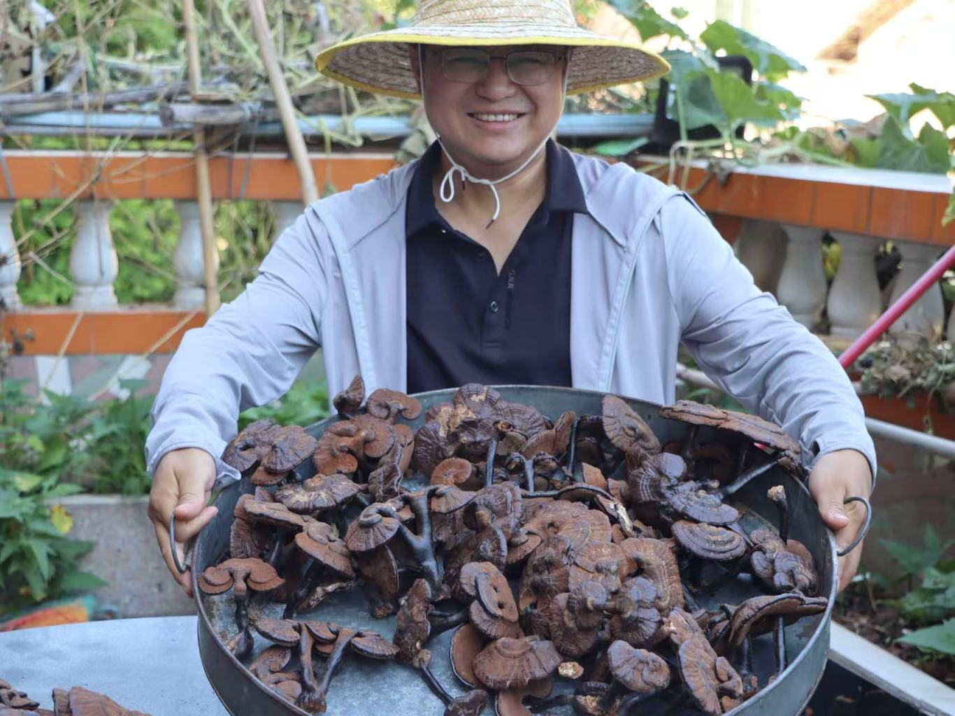 图片12.png 图片12.png