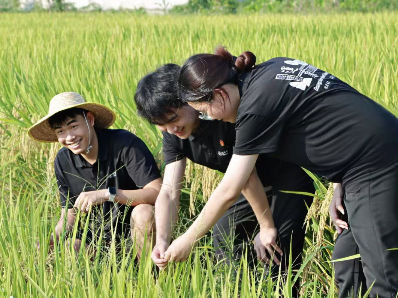 图片13.png 图片13.png